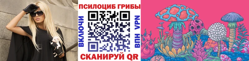 Галлюциногенные грибы мицелий  закладка  Советский 