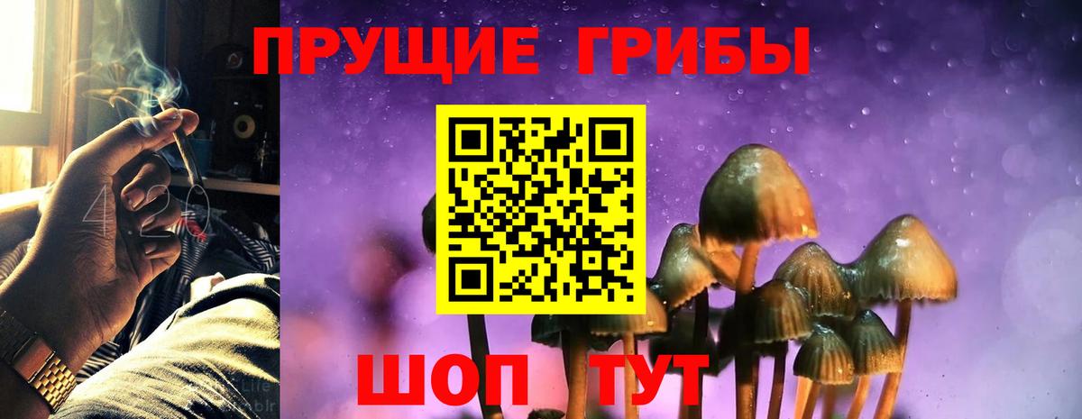 Псилоцибиновые грибы мухоморы Советский