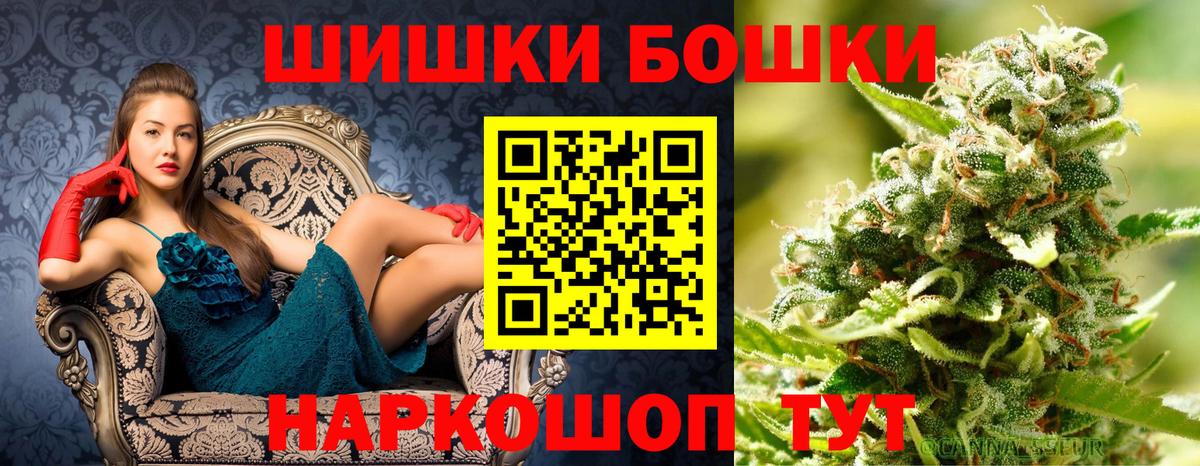 МАРИХУАНА конопля Советский